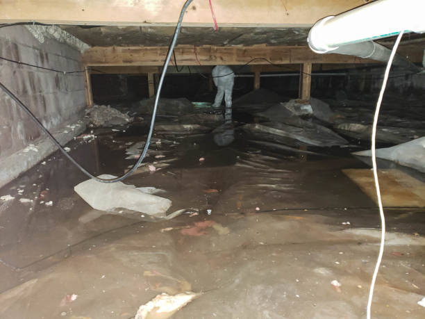 Trusted Water Damage Restoration in Bloomfield, MO | Fast, Reliable, and Ready to Assist You